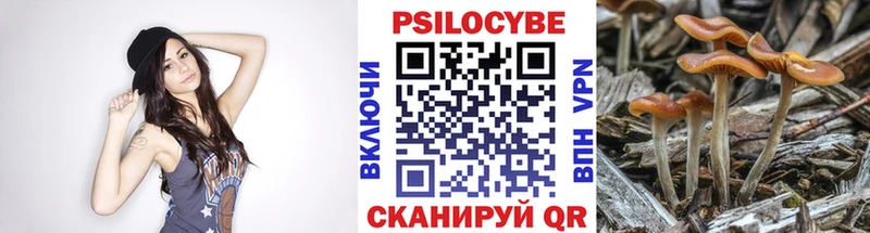 Псилоцибиновые грибы прущие грибы  наркошоп  Баймак 